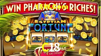 Live Casino C18